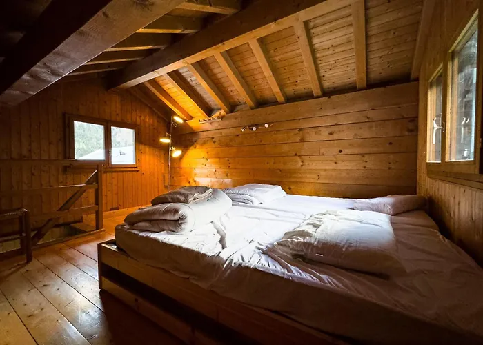 Authentic Family With Garden In Chalet